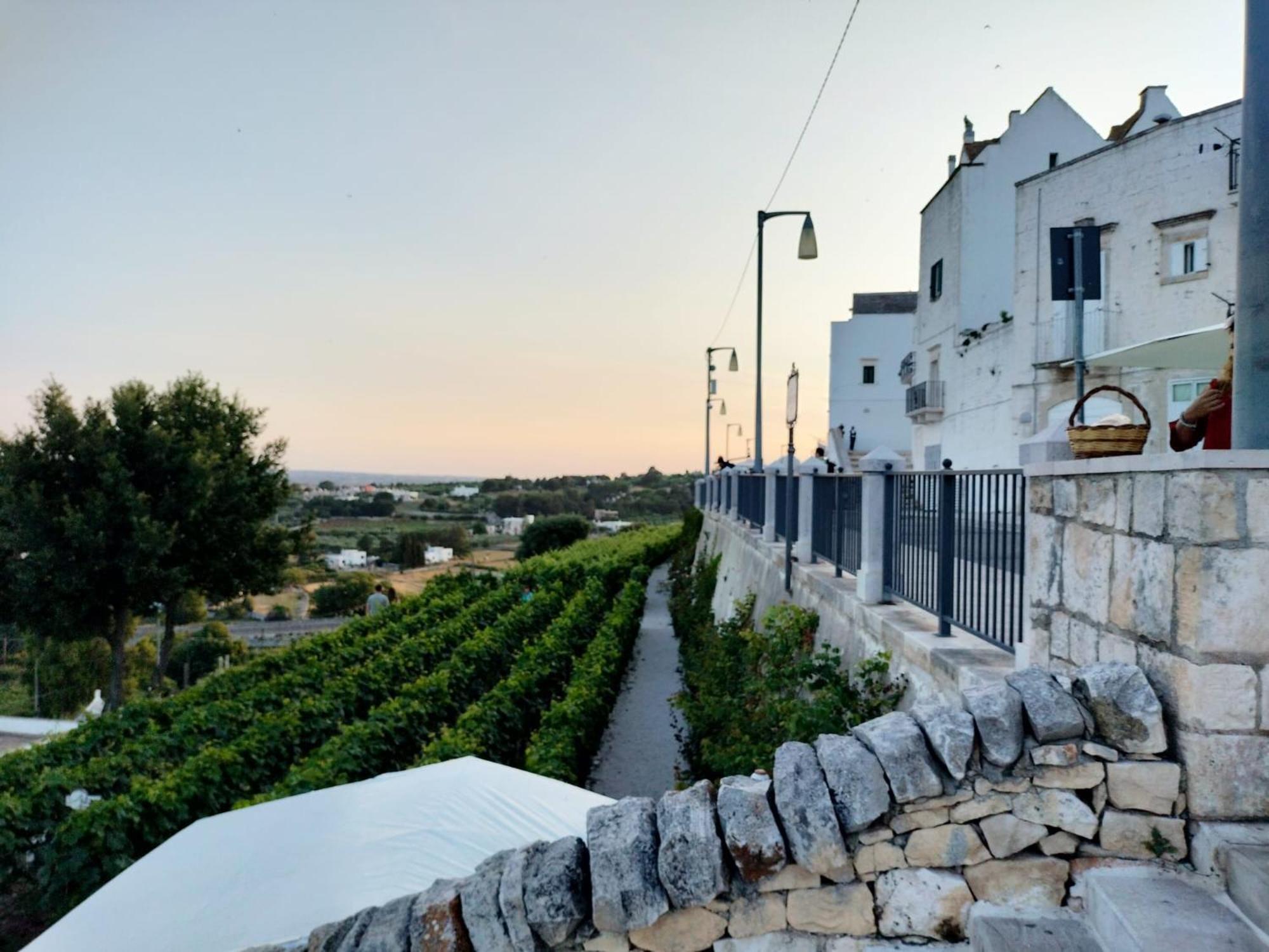L'Artefice Villa Locorotondo Exterior photo